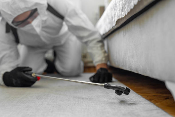 Professional Cockroach Control technician working in Colona, IL