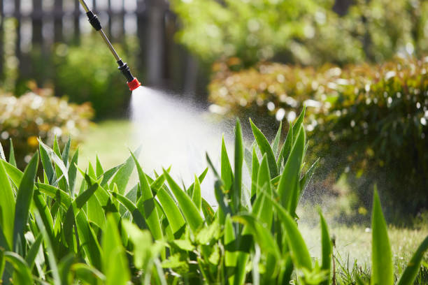 24/7 Emergency Cockroach Control experts in Colona, IL